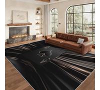 Générique Tapis Salon Carte à Jouer 80x150 cm, Tapis As de Pique pour Chambre, Moquette Antidérapant Lavable à Poils Ras, Décoration Salon C&J101