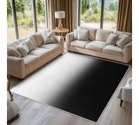 Générique Tapis Salon Dégradé Noir et Blanc Paillasson Interieur Entree Ombre Minimalis Moderne 50x80 cm, Moquette de Sol Doux et Antiderapant à Poils Courts, Tapis Sol Décor à La Maison C24