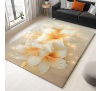 Générique Tapis Salon des Fleurs comme dans Un Rêve des Lys 120 x 160 cm Doux Antidérapant Tapis Décoratif de Chambre Lavable en Machine Tapis pour Entree Interieur Beige de Chambre Salle a Manger