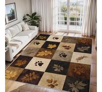 Générique Tapis Salon Empreinte de Patte Paillasson Interieur Entree Ferme Rustique 60x90 cm, Moquette de Sol Doux et Antiderapant à Poils Courts, Tapis Sol Décor à la Maison C&J107