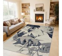 Générique Tapis Salon Geisha Japonais 120x170 cm, Tapis Orient Asiatique pour Chambre, Moquette Antidérapant Lavable à Poils Ras, Paillasson Décor à La Maison C&J37