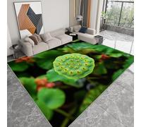 Générique Tapis Salon Gousse de Lotus Verte Modèle 140 x 200 cm Lavable en Machine Super Doux et Antidérapant Tapis Décoratif Salon Doux Poil Court pour Chambre Adulte, Salle à Manger