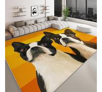 Générique Tapis Salon imprimé Caricature 160 x 230 cm, Tapis Chambre d'enfants Lavable - Coureur Chambre Animal Chien Portrait pour Salle à Manger Bureau Coureur antidérapant Salle à Manger