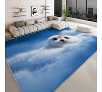 Générique Tapis Salon imprimé Caricature 60 x 90 cm, Tapis Chambre d'enfants Lavable - Coureur Chambre Animaux Phoque Nuages pour Salle à Manger Bureau Coureur antidérapant Salle à Manger