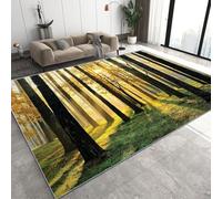 Générique Tapis Salon Lavable Automne Forêt 50x80 cm Moquette Interieur, Effet Tyndall Doux Antidérapant Flanelle Tapis pour Salon Chambre à Coucher d'enfant Entrée D-763