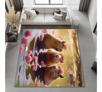 Générique Tapis Salon Lavable Brun 100x150 cm, Mignon Dauphin Cerisier Imprimé Pile Courte et Douce Antidérapant Rectangulaire Tapis pour Chambre Les Salons et Les Couloirs