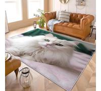 Générique Tapis Salon Lavable Machine 140x200 cm Gros Plan sur Un Chat Persan Moderne Tapis Décoratif Résistant Antidérapant Blanc pour Salle Manger Cuisine Salon Canapé Chambre Enfants