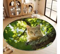 Générique Tapis Salon Lavable Rond Photographie Animalière Chat Branche De Chêne 160 cm Moquette Rond Interieur, Vert Doux Antidérapant Flanelle Tapis pour Salon Chambre à Coucher d'enfant Entrée
