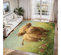 Générique Tapis Salon Mignon Bovins des Highlands Paillasson Interieur Entree Animaux Ferme Garçons 40x60 cm, Moquette de Sol Doux et Antiderapant à Poils Courts, Tapis Sol Décor à la Maison C&J79