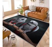 Générique Tapis Salon Moderne 80x150 cm Gros Plan d'un Perroquet Animal Poil Ras Lavable en Machine avec Dos Antidérapant Tapis Gris pour Cuisine, Salle à Manger, Bureau et Chambre