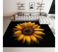 Générique Tapis Salon Photographie Tournesol Lavable Pile Courte et Douce, Rectangulaire Tapis Chambre Intérieur Extérieur Dessous antidérapant 120x170 cm, Noir