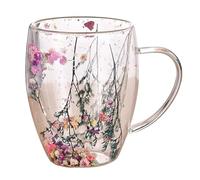 Générique Tasse Double Paroi - Coffret Cadeau Tase À Thé Avec Infuseur | Tasse Double Paroi | Tase À Café En Verre Isolé D0uble Couche De 350 Ml | Tasses À Transparentes Avec Poignée