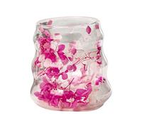Générique Tasses en Verre - Mugs À Café En Verre À Double Paroi Avec Fleurs Séchées | Tasses Réutilisables 160ml Pour Boissons Chaudes Froides Thé Eau Décoration Maison Noël Anniversaire