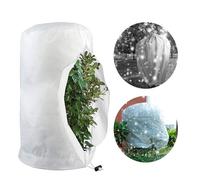 Générique Tente D'hivernage pour, Protection Hivernale, Housse D'hivernage Protect-ION Contre Le Gel des Couvertures Végétales Et Couverture Contre Le Gel des l'hiver Protection