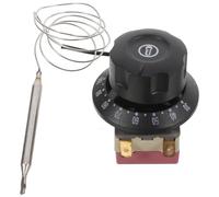 Générique Thermostat Mécanique pour Friteuse Électrique et Chauffe-eau avec Protection la Surchauffe, Composants en Céramique et Plastique, Accessoires Vis et Bornes à Sertir, Cuisine