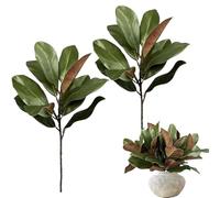 Générique Tiges de Feuillage de Magnolia Artificiel 56 cm - Branches Vertes réalistes au Toucher Naturel | artificielles pour vases, centres de décoration de Bureau à Domicile