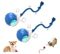 Générique Tiny Fetch Ball Dog Toy, Tiny Fetch Dog Toy, 360°Smart Automatic Rolling Electric Dogs Ball Toys with Birdsong, for Dogs and Cat,Tough Chew Proof (Blue*2)