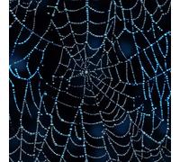 Générique Toile D'araignée Bleue Papier Peint Épaissir Mat Auto Adhésif 44x300 cm Ciel étoilé Rêveur Meubles Autocollants Amovible Comptoir Contact Papier Stickers Muraux pour Bains Salon Chambre