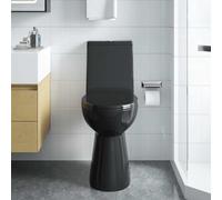 Générique Toilette sans Rebord 7 cm Hauteur supplémentaire Abattant Amorti Céramique Noir,Quincaillerie,Plomberie,Équipements sanitaires,Toilettes & bidets,Toilettes,Noir,23.8 KG,145780