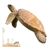 Générique Tortue pour Modèle Réaliste Éducatif d'apprentissage Décoratif