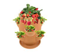 Générique Tour à Fraises,Tour De Culture Verticale pour | Conteneur Décoratif avec Plateau pour Fleurs, Fournitures de Jardinage pour Légumes, Fleurs et Orchidées