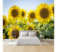 Générique Tournesol Papier Peint 300 x 210 cm (B x H) 3D Fleurs Mural Poster Murale Intissé pour Chambre Salon Restaurant Personnalisé Décoration Personnalisé Décoration Murale W-669