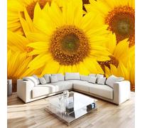 Générique Tournesol Papier Peint 366 x 254 cm (B x H) 3D Fleurs Mural Poster Murale Intissé pour Chambre Salon Restaurant Personnalisé Décoration Personnalisé Décoration Murale W-159