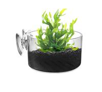 Générique Transparent Plant Basket, Aquatic Cultivation Pot, Suction Cup Holder for Hydroponics Plants, Lightweight Acrylic Construction, Aquarium and Pond Accessory, Indoor Habitat Propagation Tool