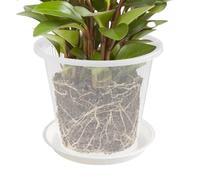 Générique Transparent Plant Containers - Slotted Botanical Basins | Aerated Root Housing Plus Overflow Catchers & Ventilated Cultivation Jars for Succulents, Lilies, Herbs and Violets