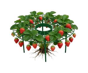 Générique Treillis À Tomates - Support De Jardin Durable, Pilier De Robuste, Cadre De Support De Tomates Réglable | Système De Renforcement De Verger en Plastique Vert Extensible pour Peuplemen