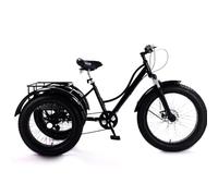 Générique Tricycle Électrique 24 Pouces for Adultes,Pneus Larges,Capacité Charge 200 Kg,Idéal for Les Seniors,Courses Et l'exercice. Siège Souple Polypropylène,Confortable Hommes Femmes.Vert(Black)