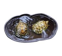 Générique Turtle Bathing Pool, Large Tortoise Water Dish, 15.35x10.63x1.97 inches Round Hole Climbing Toy with Drainage Pipe, Reptile Habitat Accessory for Tortoise Aquarium and Terrarium