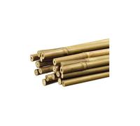 GENERIQUE - Tuteur Décoratif En Bambou Couleur Naturelle Ø1,1cm X1,50m Nortene
