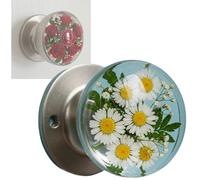 Générique Unique Decorative Doors Handle, Round Glass Bead Door Handle, Nature Style Transparent Animal Resin Epoxy Round Doors Knobs,Suitable for Modern and Classic Homes Alike Decor