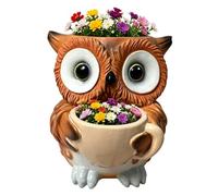 Générique Unique Owl Planter Pot,Resin Cute Owl Planter with Drainage Hole,Animals Shaped Succulent Creative Flower Pots,for Indoor Outdoor Garden Patio Home Desktop Office Windowsill Decoration