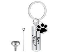 Générique Urne pour Chien, Porte-clés Personnalisable en Acier Inoxydable pour Cendres d'animaux, avec Outils, 3.78 cm (Argent)