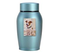 Générique Urnes De Crémation pour Animaux De Compagnie - Acier Inoxydable | Urne Souvenir De Cendres, Boîte De Rangement Sécurisée des Cendres | Conteneur Souvenir Commémoratif pour Animaux De Compagni