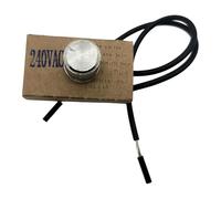 Générique Variateur de Lumière 240 V, Modulateur de Lumière pour Voitures et