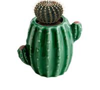 Générique Vase À Fleurs De Cactus en Céramique - Petit Pot Décoratif De Table, Sculpture De Bureau Verte Minimaliste | Pièce Maîtresse D’Arrangement Floral Esthétique Moderne avec Texture Mate