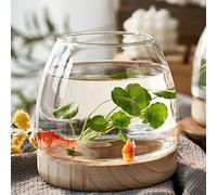 Générique Vase avec support en bois - Vase bocal à poisson en verre transparent avec support en bois,Fish Bowl Aesthetic Home Decor, Fish Tank écologique pour le dîner de la salle de bain du salon