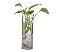 Générique Vase Cylindre Mural Suspendu en Verre Transparent pour Plante Fleur Hydroponique DIY Paysage Miniature