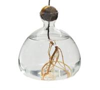 Générique Vase Hydroponique en Verre pour Noyau D'avocat, Pot De Fleur, Vase De Germination Transparent, Décoration De Bureau À Domicile