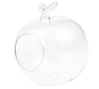 Générique Vase Hydroponique en Verre Transparent, Décoratif, Forme Pomme | 1 Pièce, Surface Lisse sans Bavures, Visibilité Claire, pour Fleurs et Sable, Fenêtres et Chambres