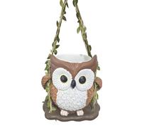 Générique Vasi per Piante - Resina Con Foro Di Drenaggio | Fioriera A Forma Di Gufo, Piccoli Vasi per Piante, per Interni Esterni Giardino Patio Camera Da Soggiorno Cucina Ufficio Decoraz