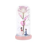 Générique Veilleuse À Fleurs en Dôme - 21.5cm Lampe Florale, Lumière Musicale LED, Éternelle avec Transparent | pour Femme Maman Chambre Bureau Salon Décoration Romantique Cadeau