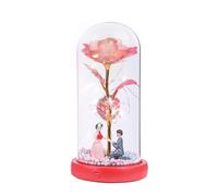 Générique Veilleuse À Fleurs en Dôme - 21.5cm Lampe Florale, Lumière Musicale LED, Éternelle avec Transparent | pour Femme Maman Chambre Bureau Salon Décoration Romantique Cadeau