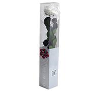 Générique VERDISSIMO Rose éternelle stabilisée Premium Tige 55cm Diamètre 6,5 à 8,5cm (Blanc)