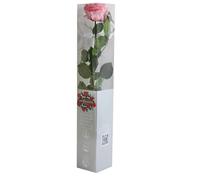 Générique VERDISSIMO Rose éternelle stabilisée Premium Tige 55cm Diamètre 6,5 à 8,5cm (Rose Pastel)