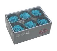 Générique VERDISSIMO Rose Stabilisée Bouton X6 / diametre de 5cm (Turquoise)