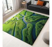 Générique Vert Tapis Photographie Savane Mangroves Rivières Tapis Salon Anti-Slip Lavable À Poils Courts Doux Antidérapant 180 x 240 cm, pour Salon Chambre Cuisine Bureau & Salle À Manger Moquette
